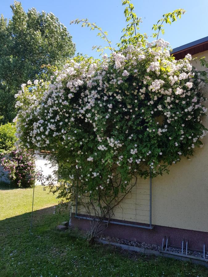 Fewo Abendrot Insel Poel Eksteriør bilde